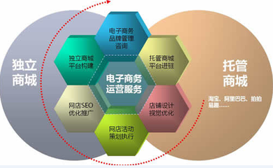 四川省廣元市電商（淘寶）高峰論壇會 電子商務(wù)運營服務(wù)的創(chuàng)新與實踐