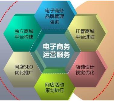 多媒體網絡的分布式知識要點與電子商務運營服務
